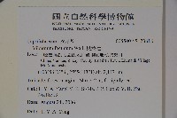 臭莢迷藏品圖，第2張