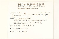 黃菀藏品圖，第2張