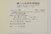 玉山鋪地蜈蚣藏品圖，第2張