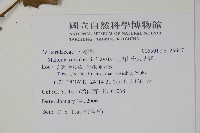 阿里山十大功勞藏品圖，第2張