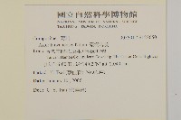 臺灣馬蘭藏品圖，第2張