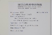 狗尾草藏品圖，第2張