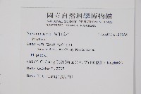 登錄號:S123665藏品圖，第2張