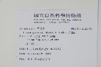 立鶴花藏品圖，第2張