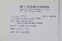 黑眼花藏品圖，第2張