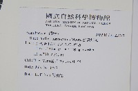 臺灣馬藍藏品圖，第2張