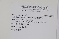 臺灣馬藍藏品圖，第2張