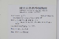 臺灣馬藍藏品圖，第2張