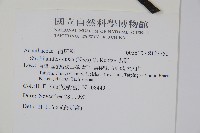 馬藍藏品圖，第2張