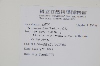 金葉木藏品圖，第2張