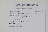 哈哼花藏品圖，第2張