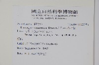 哈哼花藏品圖，第2張