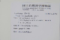 明萼草藏品圖，第2張