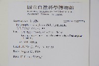 長花九頭獅子草、山藍藏品圖，第2張