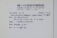 翅柄馬藍藏品圖，第2張