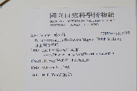 曲莖馬藍藏品圖，第2張