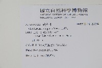 小駁骨丹、尖尾鳳藏品圖，第2張