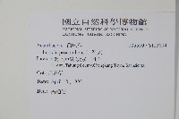 爵床藏品圖，第2張