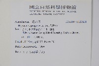 六角英, 槍刀菜藏品圖，第2張