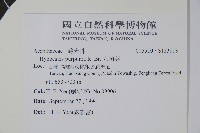 六角英, 槍刀菜藏品圖，第2張