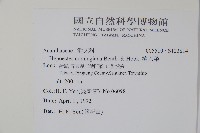 槍刀菜藏品圖，第2張