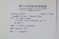 蘆利草藏品圖，第2張