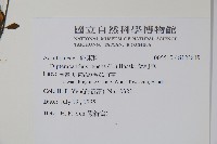 蘆利草藏品圖，第2張