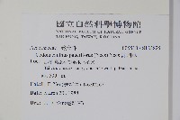 針刺草藏品圖，第2張