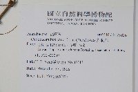 針刺草藏品圖，第2張