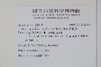 針刺草藏品圖，第2張