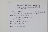 針刺草藏品圖，第2張