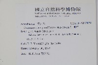 針刺草藏品圖，第2張