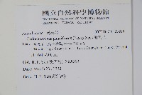 針刺草藏品圖，第2張