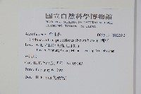 針刺草藏品圖，第2張