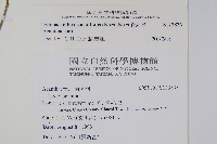 針刺草藏品圖，第2張