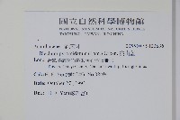 賽山藍藏品圖，第2張