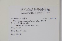 賽山藍藏品圖，第2張