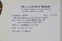 賽山藍藏品圖，第2張