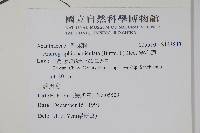 穿心蓮藏品圖，第2張