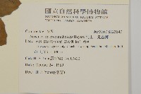 阿里山鬼督郵藏品圖，第2張