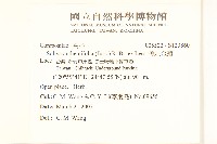 假吐金菊藏品圖，第2張