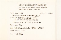 西洋蒲公英藏品圖，第2張