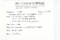 臭濱芥、臭薺藏品圖，第2張