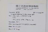 番杏藏品圖，第2張