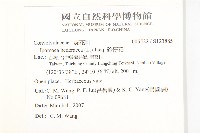 碗仔花藏品圖，第2張