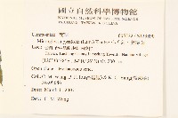 小舌菊、蔓綿菜藏品圖，第2張