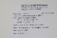 蘿芙木藏品圖，第2張