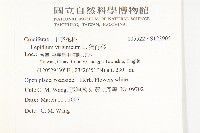 獨行菜藏品圖，第2張