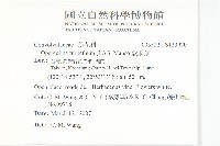 盒果藤藏品圖，第2張