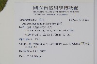 青莧藏品圖，第2張